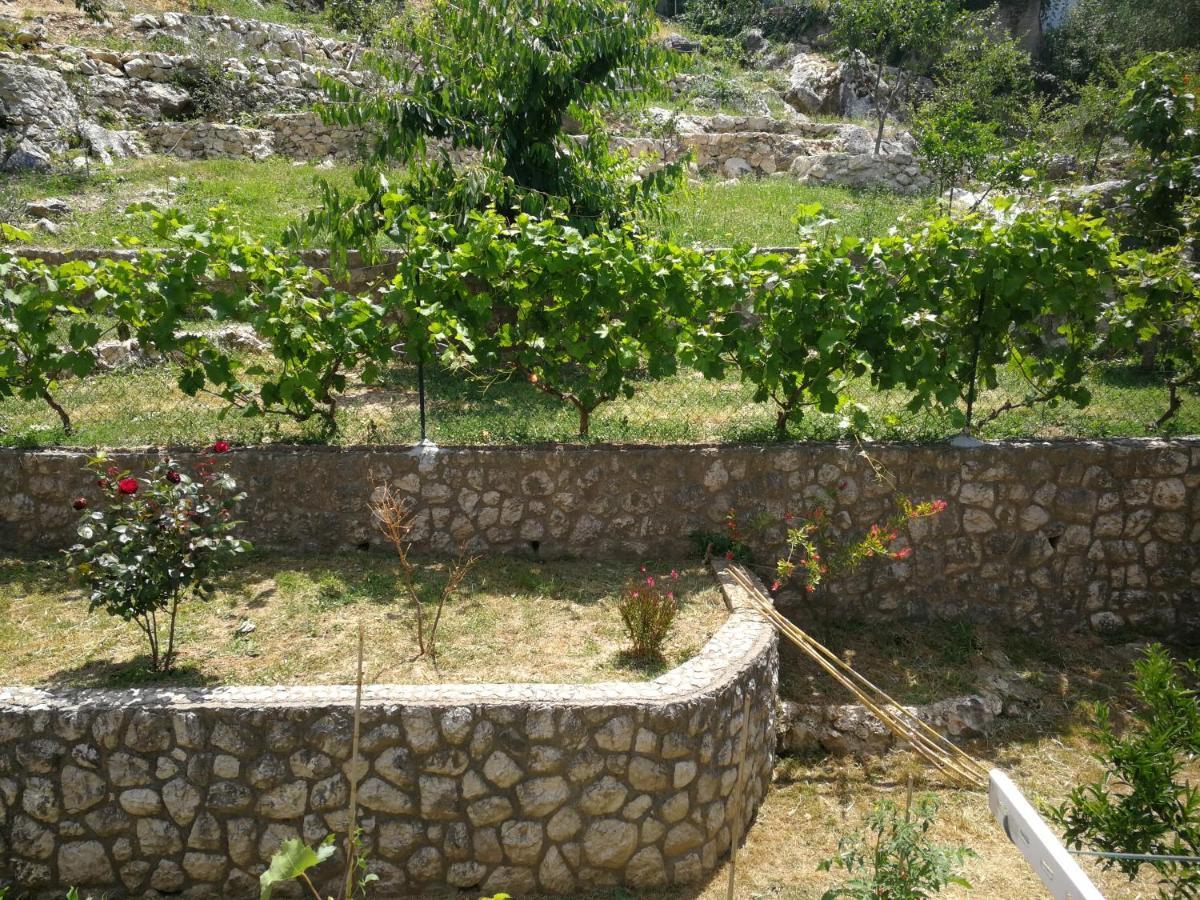 Appartement Tim à Kotor Extérieur photo